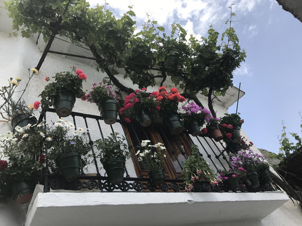 Apartament La Ermita Del Poqueira Bubión Zewnętrze zdjęcie